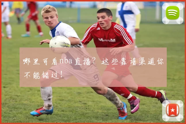 哪里可看nba直播？这些靠谱渠道你不能错过！