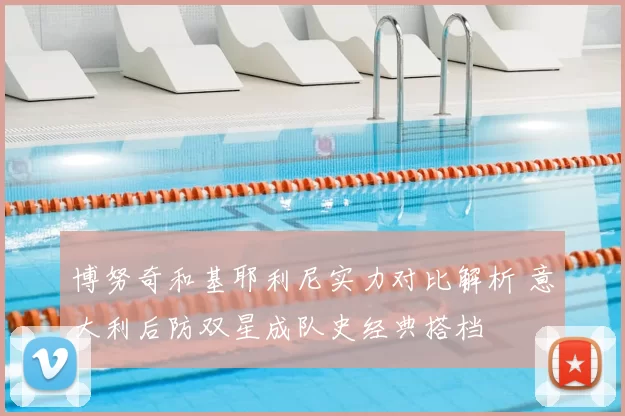 博努奇和基耶利尼实力对比解析 意大利后防双星成队史经典搭档